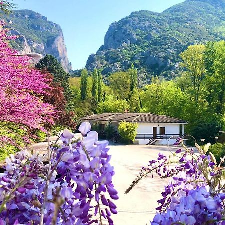 Hotel La Ginestra Аккуаланья Екстер'єр фото